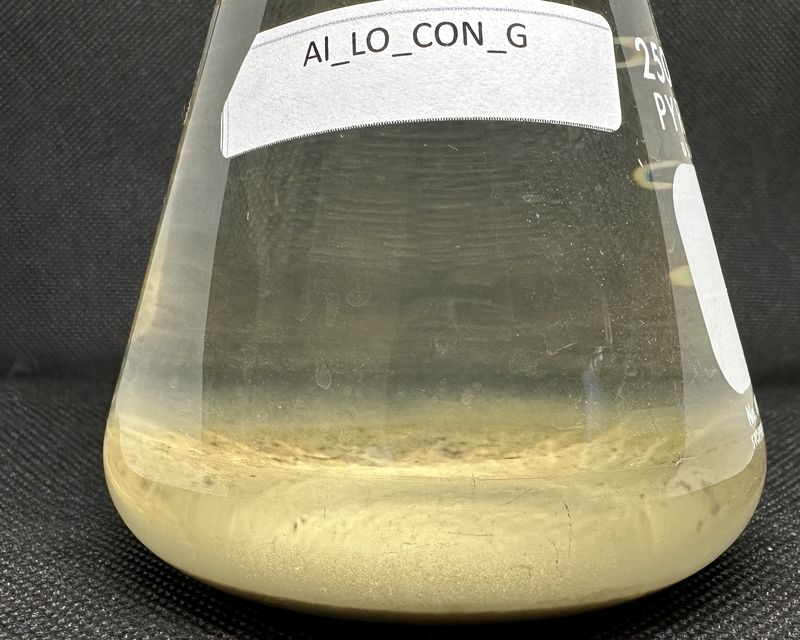 Leach test flask