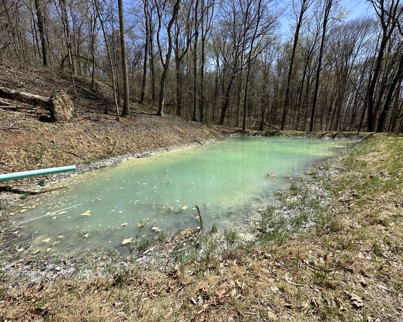 Treatment pond, April 2023